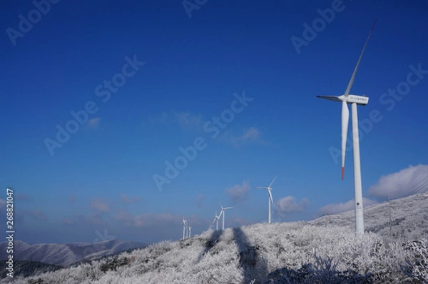 Fototapeta 태기산1