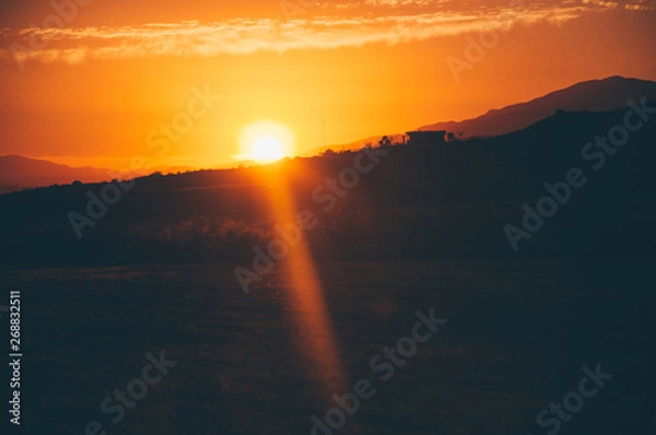 Fototapeta Desert Setting