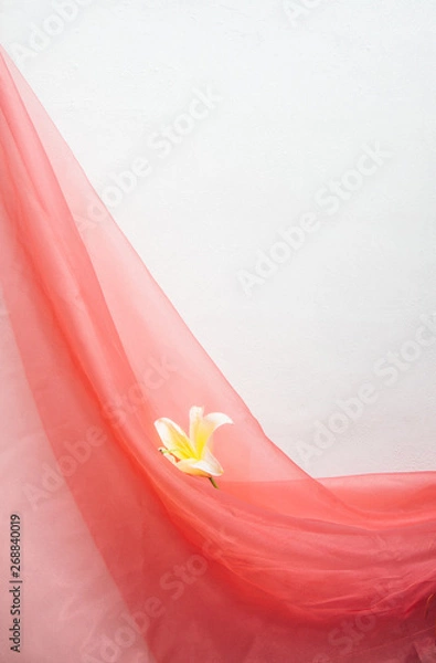 Fototapeta Fabric Florals