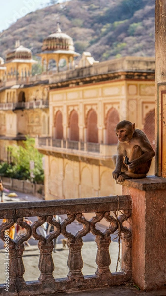 Obraz Jaipur rajasthan India 