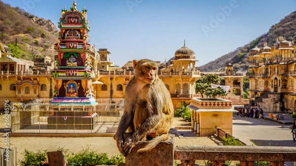 Obraz Jaipur Rajasthan Indie