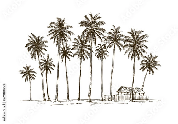 Obraz Traditional village hut with coconut trees in Java island, Indonesia
