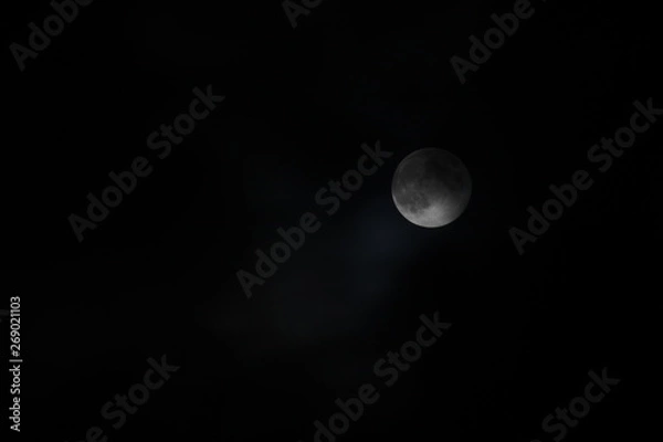 Obraz full moon in the sky