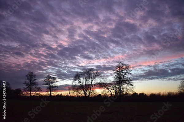 Fototapeta Zwergstücke