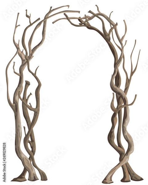 Fototapeta Rustic arch with tree branches. Vintage design template for invitation, card, poster. Isolated element on white background. Vector illustration in watercolor style