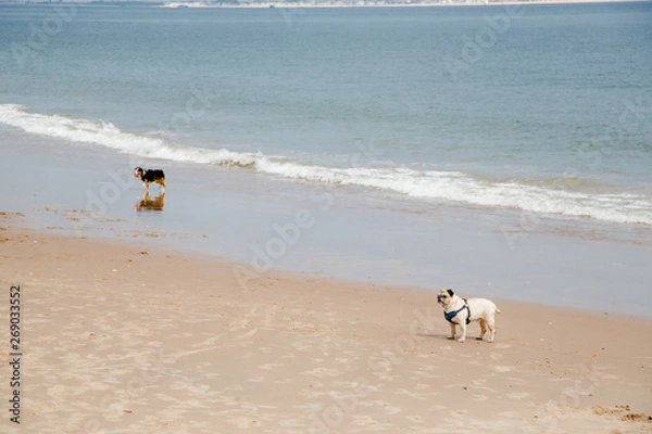 Fototapeta Brighton beach Brooklyn