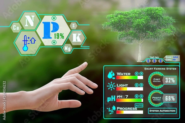 Obraz Smart farming, futuristic agriculture concept : Farmer can monitoring all situation, cost anylysis, profit and loss on one finger click and with immersive experience on digital holographic screen 