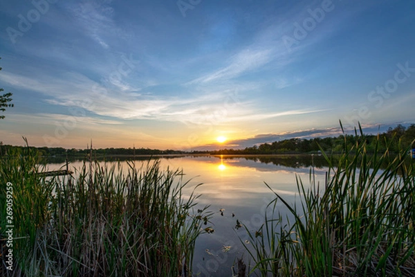Fototapeta Sun on the Horizon over Calm Lake Waters through Cattail