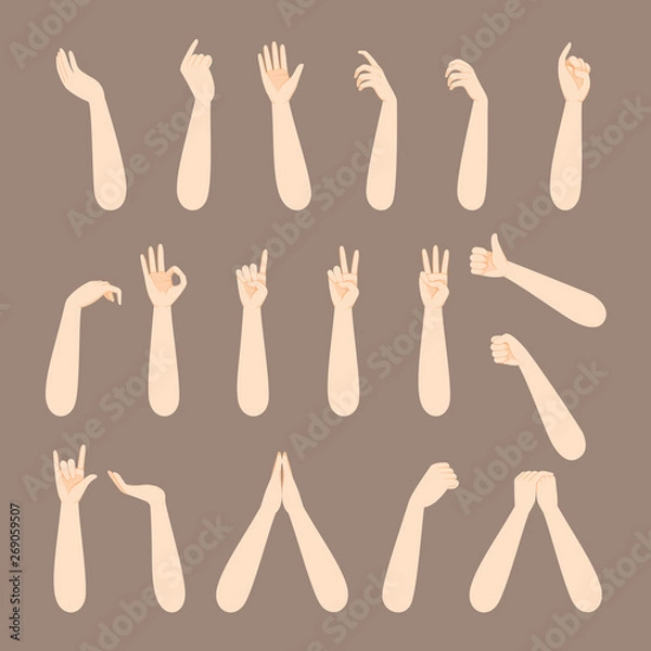 Fototapeta Set Of Forearm And Hand Of Human In Various Gestures
