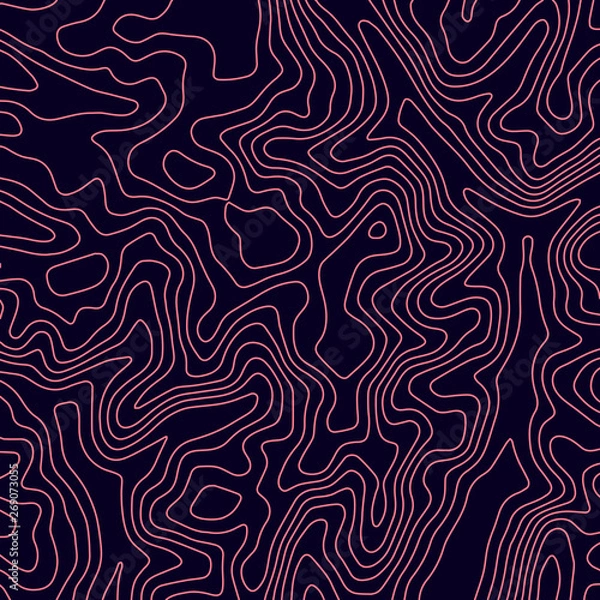 Obraz Topographic map lines background. Abstract vector illustration. Contour vector map.