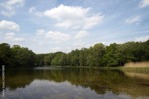 Fototapeta seeidylle