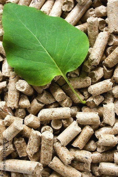 Fototapeta Wood Pellets & Green Leaf