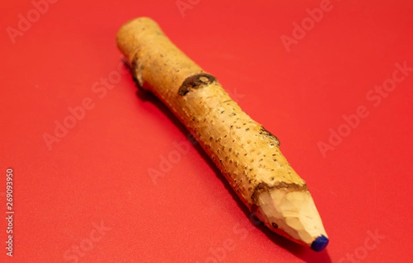 Obraz Decorative pencil