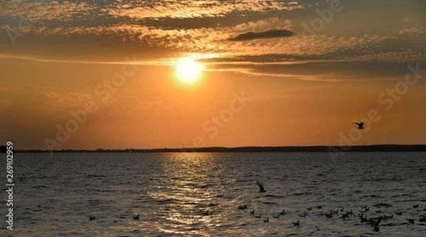 Obraz Steinhuder Meer