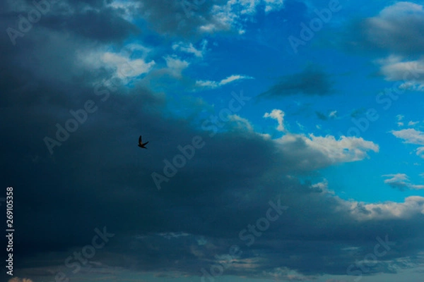 Obraz Storm clouds backgrounds