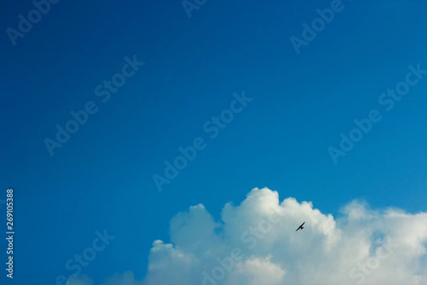 Obraz summer spring cloudy blue sky