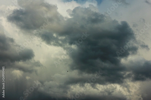 Obraz Storm clouds backgrounds