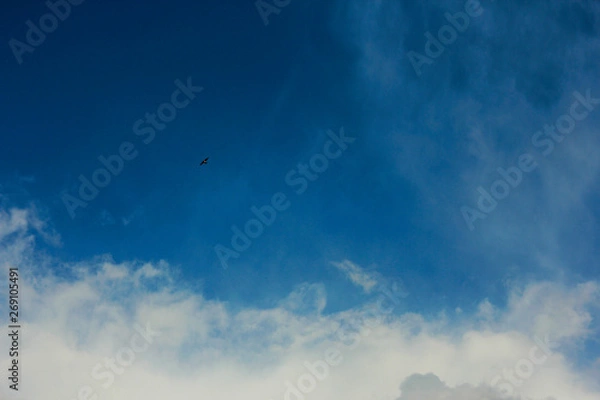 Obraz summer spring cloudy blue sky