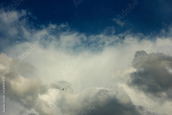 Obraz Storm clouds backgrounds