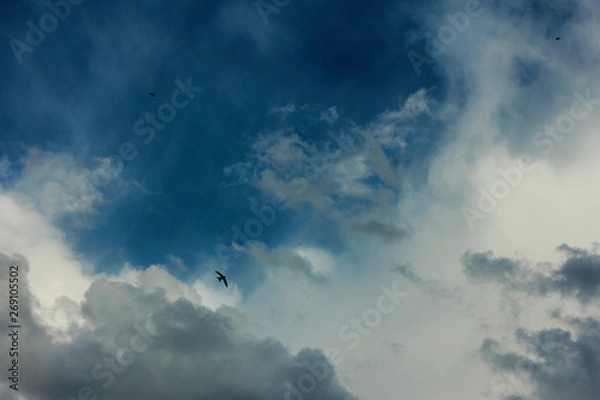 Obraz Storm clouds backgrounds