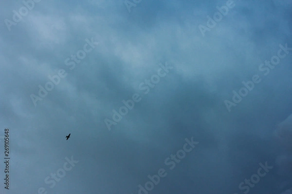 Obraz Storm clouds backgrounds