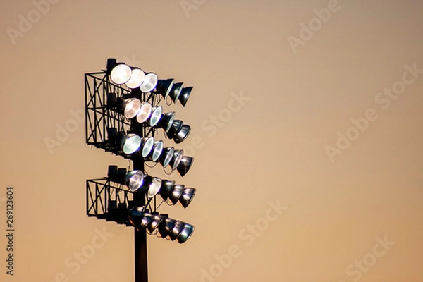 Obraz Under the Lights