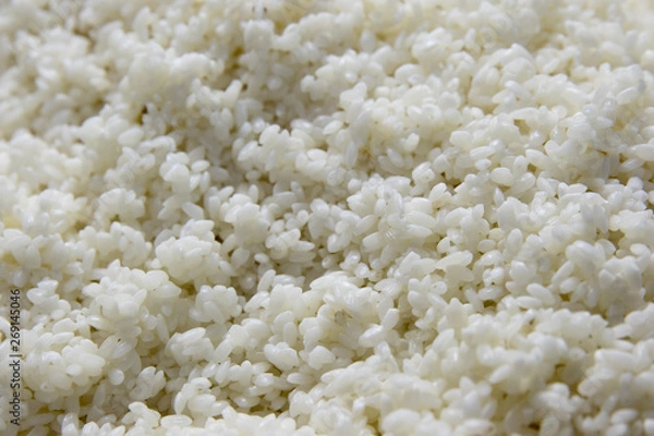 Fototapeta 米麹