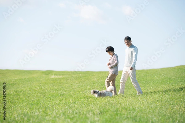 Obraz 草原で犬の散歩をするシニア夫婦