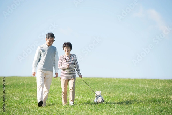 Obraz 草原で犬の散歩をするシニア夫婦