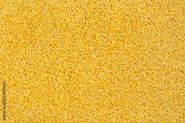 Obraz Millet background