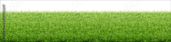 Fototapeta Green grass lawn. Border from fresh grass field. Background for design natural countryside landscape.