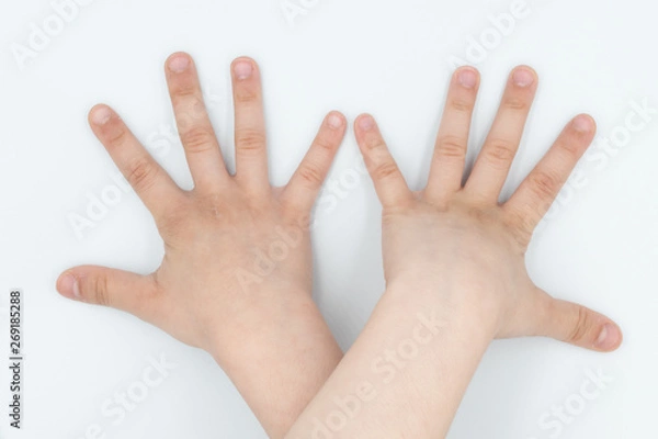 Fototapeta This is a capture for a child hand on a white background in a studio light 