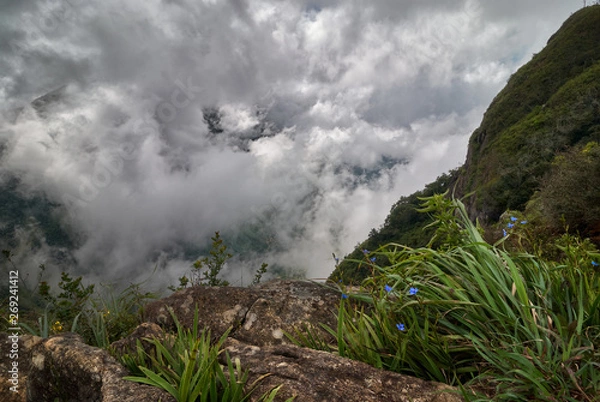 Obraz  Horton Plains National Park in Sri Lanka