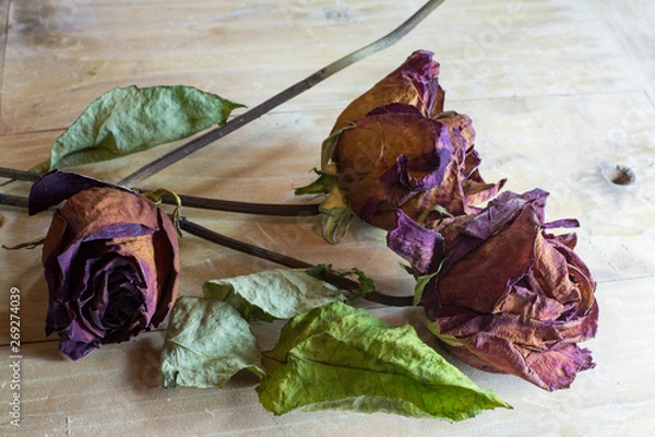 Fototapeta Flores secas