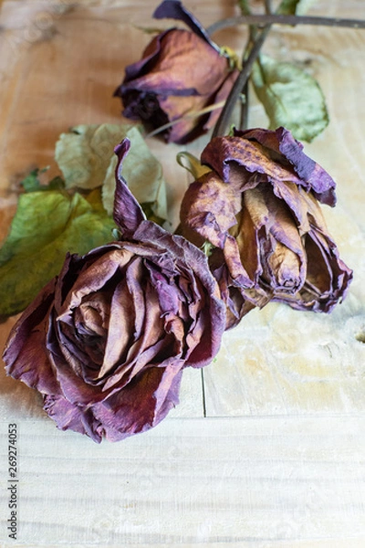 Fototapeta Flores secas