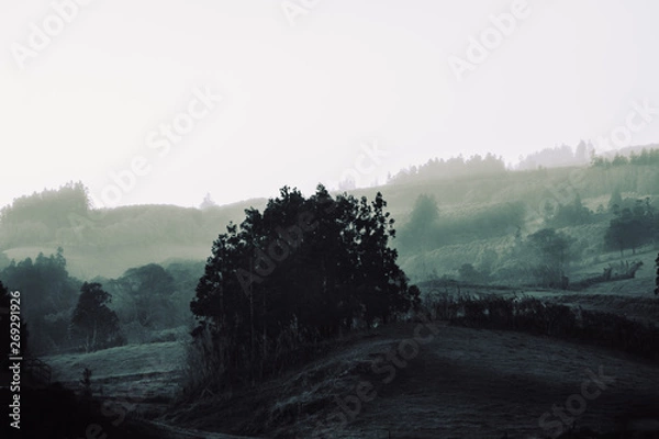 Obraz morning in the mountains