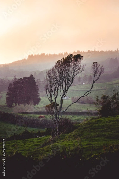 Obraz sunrise in the mountains