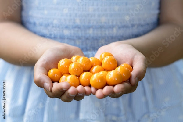 Fototapeta Obst in Kinderhändem