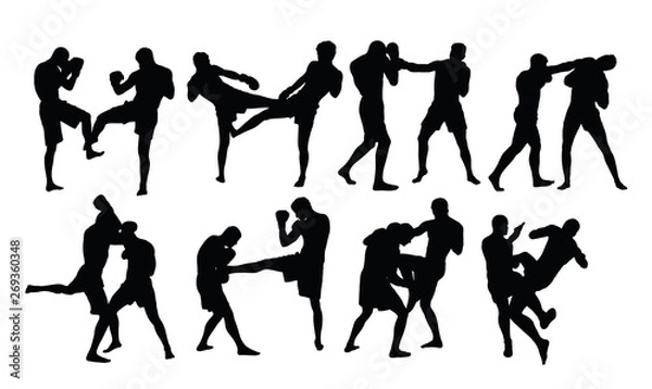 Obraz Boxing Sport Silhouettes Activity, art vector design 