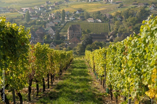 Fototapeta soultzmatt