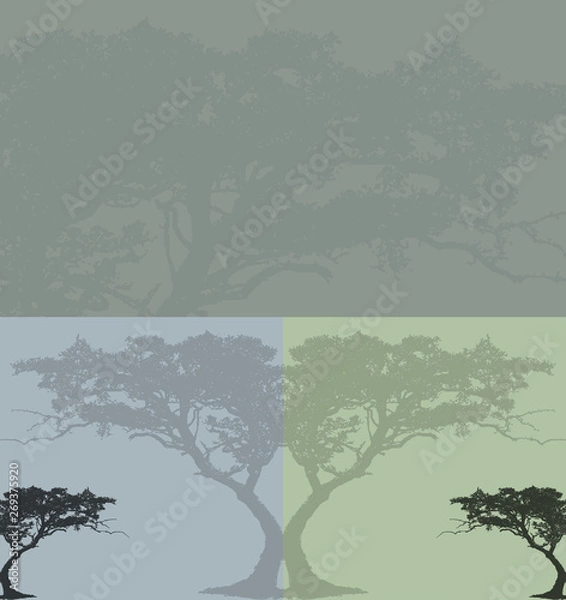 Fototapeta abstract background with trees