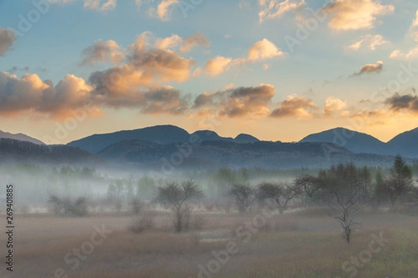 Fototapeta 初夏の日光小田代ヶ原の夜明け