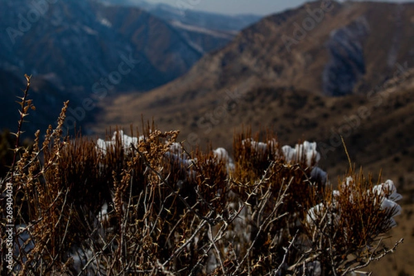 Fototapeta snow on the mountain and clouds 