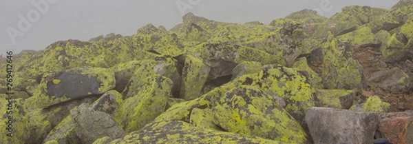 Fototapeta Unforgettable trek to the mountains in Gorgan, waterfalls. Rest in the Carpathians