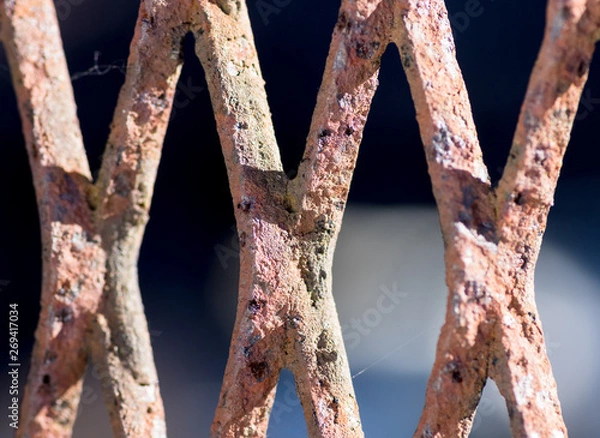 Obraz alter Zaun mit Spinnweben