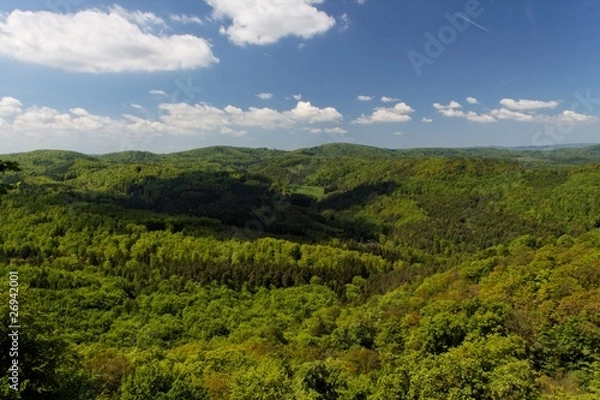 Obraz Schatten einer Wolke auf Wald
