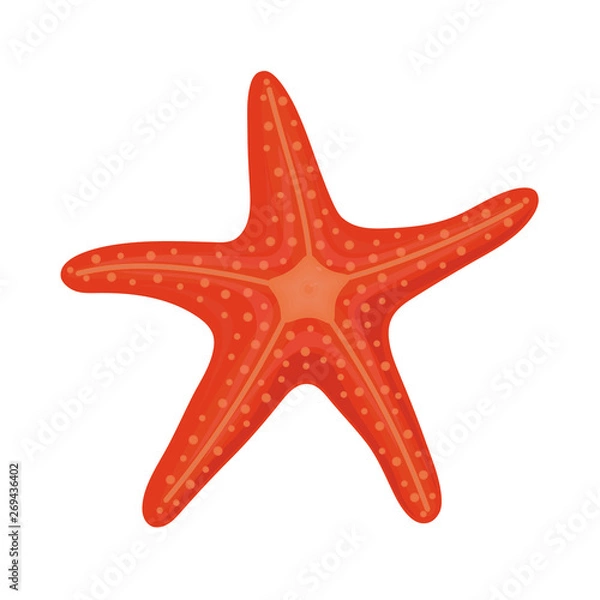 Obraz Red starfish in cartoon style for summer design elements isolated on white background