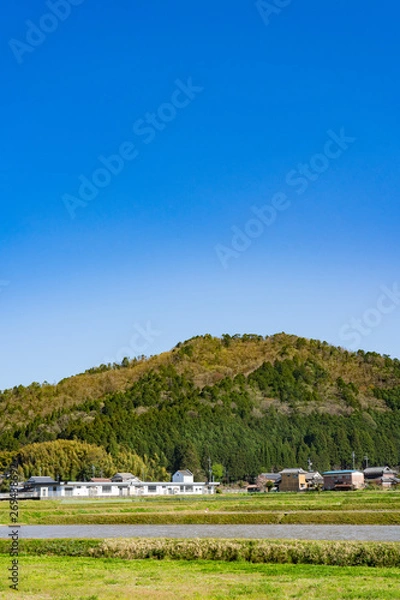 Fototapeta 篠山の風景
