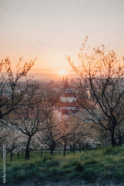 Obraz Morning in Prague