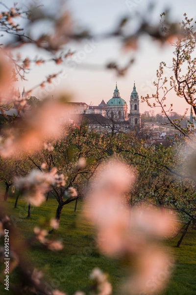 Obraz Morning in Prague